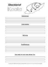 Koala-Steckbriefvorlage-sw.pdf